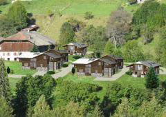 Chalet Les Fleurs des Seytroux 1 - Plan du projet