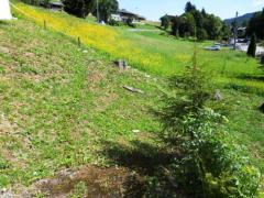 Appt. Les Girolles, 6 - Le jardin