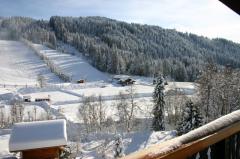 Apartment 2 Girolles - (fr)The piste from the apartment