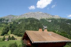 Appt. Le Grizzli, 3 - La vue depuis l