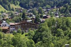 Appt. Le Grizzli, 4 - Vue de la Residence Le Grizzli