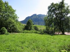 Ferme Le Jour Bleu - Le jardin (1)