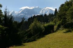 Ferme La Barmaz - La vue du jardin vers Le Mont Blanc