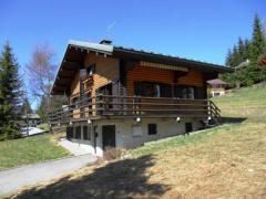 Chalet Lanchettes - (fr)The chalet, balcony and garden