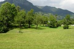 Land Praz Sur Arly - (fr)Views of the plot