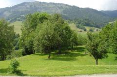Land Praz Sur Arly - 