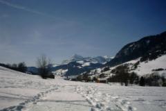 Land Praz Sur Arly - (fr)In winter