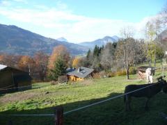 Terrain Etry - Le terrain et vues ouest