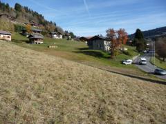 Terrain Les Granges - 