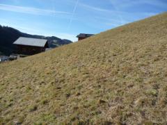 Terrain Les Granges - 