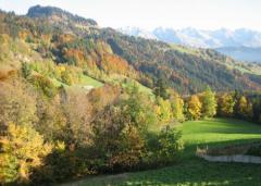 Terrain Les Faux - (fr)The view in Autumn