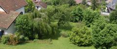 Maison de Morat - Le jardin (1)