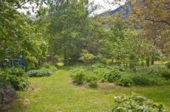 Maison Le Plan - Le jardin arboré