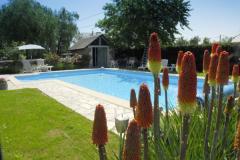 Maison Thusy - La piscine