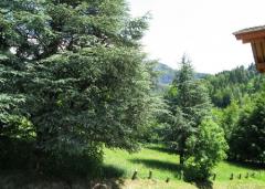 Appt. Le Maquis - (fr)Balcony view, to the south