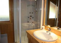 Chalet Monticello - (fr)Shower room