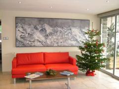 Morzine Hotel - (fr)Hotel entrance lobby