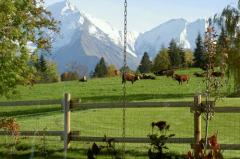 Chalet Nant Cruy - La vue depuis le jardin en été