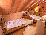 Chalet les Pernettes - 
