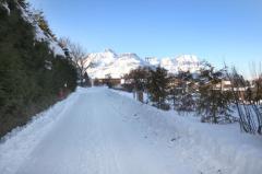 Chalet Le Perret - 