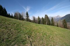 Terrain Les Recourbes, Lot 3 - Le terrain