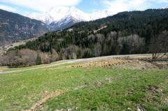 Terrain Les Recourbes, Lot 3 - Le terrain et la vue du Mont-Blanc