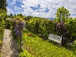 Chalet Roussette - 