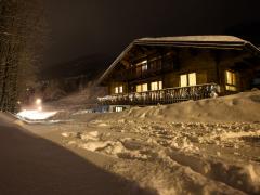 Chalet Ville du Nant - 