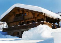 Chalet Snowbay - (fr)In the snow