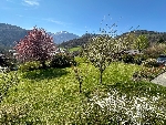 Maison des Soeurs - 