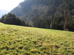 Terrain Sous Les Vorres - 