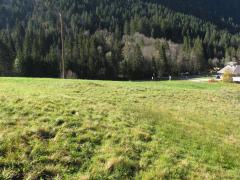 Terrain Sous Les Vorres - 