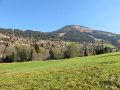 Terrain Sous Les Vorres - 