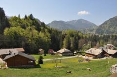 Chalet Sur Le Char - (fr)The view
