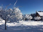 Ferme de la Tate - 