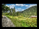 Terrain La Joux - 