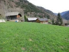 Terrain Mt Evian - (fr)Looking SE across the plot