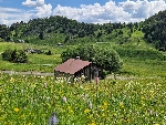 Ferme Tivanche - 