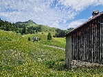Ferme Tivanche - 