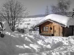 Chalet Tyrol - Mazot