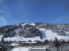 Appt. Les Bois Venants - (fr)View of the Pleney slopes in the winter
