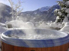 Chalet Lac de Vonnes - (fr)Views from the hot tub